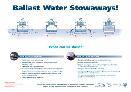 Ballast Water Stowaways!  Loading ballast water Ballast tanks full