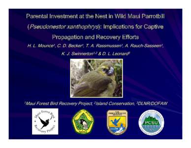 Parental Investment at the Nest in Wild Maui Parrotbill (Pseudonestor xanthophrys): Implications for Captive Propagation and Recovery Efforts H. L. Mounce1, C. D. Becker1, T. A. Rassmussen1, A. Rauch-Sasseen1, K. J. Swin