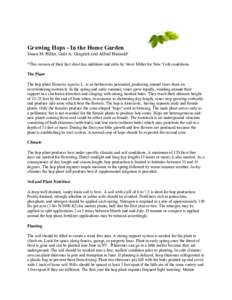 Growing Hops - In the Home Garden Susan M. Hiller, Gale A. Gingrich and Alfred Haunold¹ *This version of their fact sheet has additions and edits by Steve Miller for New York conditions. The Plant The hop plant Humulus 