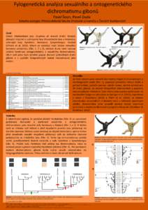 Fylogene�cká analýza sexuálního a ontogene�ckého dichroma�smu gibonů Pavel Šoun, Pavel Duda Katedra zoologie, Přírodovědecká fakulta Jihočeské Univerzity v Českých Budějovicích  Úvod