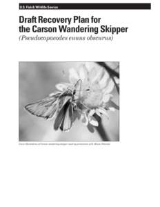 U.S. Fish & Wildlife Service  Draft Recovery Plan for the Carson Wandering Skipper (Pseudocopaeodes eunus obscurus)