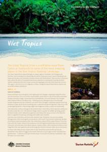 SUGGESTED 14 DAY ITINERARY  Wet Tropics Cape Tribulation