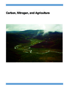 Carbon, Nitrogen, and Agriculture  Improved Nitrogen Management Utilizing Ground-Penetrating-Radar: A Nine-Year Investigation Timothy Gish, Craig Daughtry, Andy Russ, Lynn McKee, John