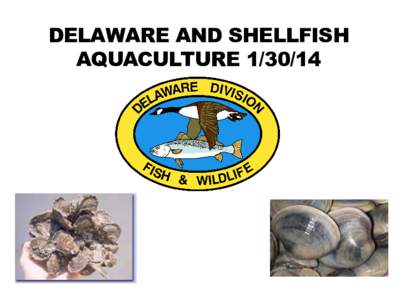 DELAWARE AND SHELLFISH AQUACULTURE[removed] WHAT IS SHELLFISH AQUACULTURE? • Shellfish farming; in Delaware, this will likely mean oyster and clam farming