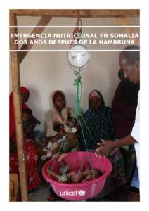 EMERGENCIA NUTRICIONAL EN SOMALIA DOS AÑOS DESPUÉS DE LA HAMBRUNA Dos años despues de la hambruna ¿QUE HA PASADO? Somalia ha vivido dos décadas de conflicto,