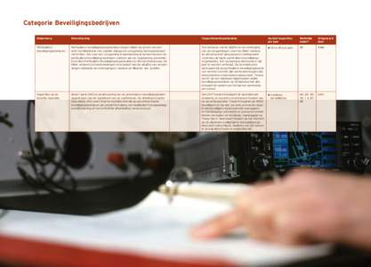 Categorie Beveiligingsbedrijven Onderwerp Omschrijving  Inspectiewerkzaamheden