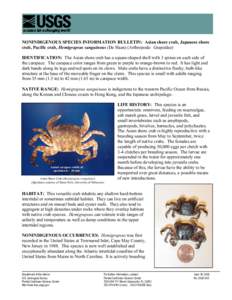NONINDIGENOUS SPECIES INFORMATION BULLETIN: Asian shore crab, Japanese shore crab, Pacific crab, Hemigrapsus sanguineus (De Haan) (Arthropoda: Grapsidae) IDENTIFICATION: The Asian shore crab has a square-shaped shell wit