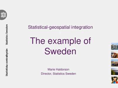 Statistical-geospatial integration - The example of Sweden Marie Haldorson