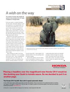 Getaway Elephant Ambassador Sharon Pincott A wish on the way The coming of summer rains heralds the