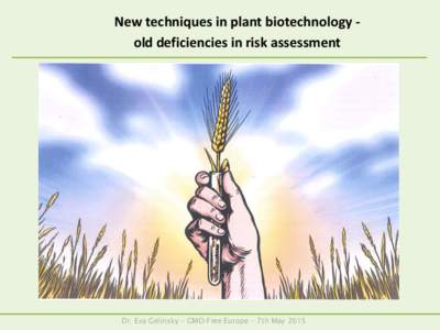 New techniques in plant biotechnology old deficiencies in risk assessment  Dr. Eva Gelinsky – GMO-Free Europe – 7th May 2015 The Federal Ethics Committee on Non-Human Biotechnology (ECNH)