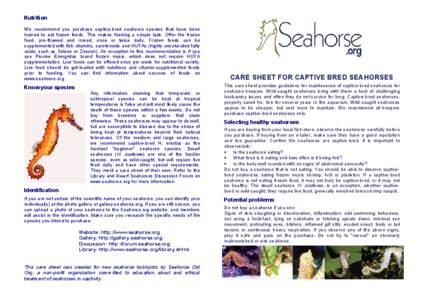 Nutrition We recommend you purchase captive-bred seahorse species that have been trained to eat frozen foods. This makes feeding a simple task. Offer the frozen food, pre-thawed and rinsed, once or twice daily. Frozen fo