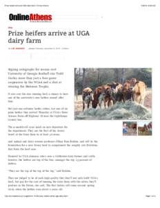 Prize heifers arrive at UGA dairy farm | Online Athens