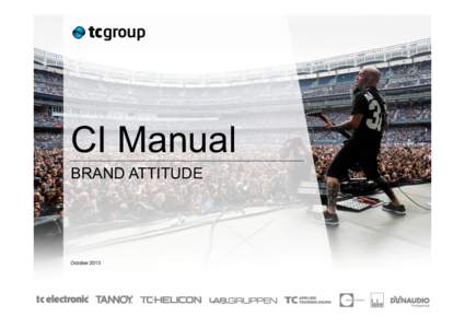 CI Manual BRAND ATTITUDE October 2013  Corporate Identity