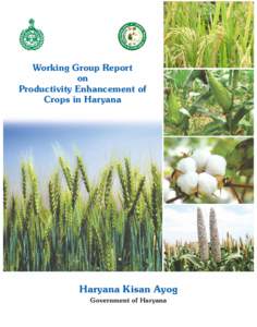Working Group Report on Productivity Enhancement of Crops in Haryana  Haryana Kisan Ayog