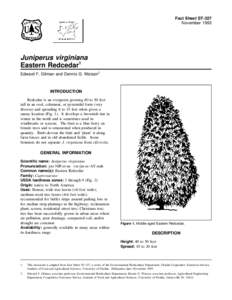 Fact Sheet ST-327 November 1993 Juniperus virginiana Eastern Redcedar1 Edward F. Gilman and Dennis G. Watson2