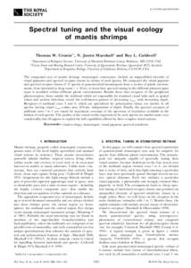 doirstbSpectral tuning and the visual ecology of mantis shrimps Thomas W. Cronin1*, N. Justin Marshall2 and Roy L. Caldwell3 1Department