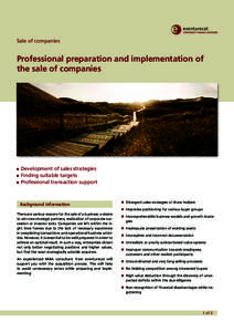 Sale of companies  Professional preparation and implementation of the sale of companies  Development of sales strategies