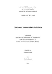Polarisierter Transport des Prion-Proteins