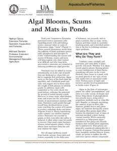 Algal Blooms, Scums and Mats in Ponds - FSA-9094