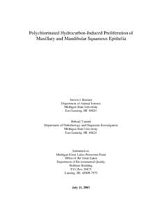 Polychlorinated Hydrocarbon-Induced Proliferation of Maxillary and Mandibular Squamous Epithelia