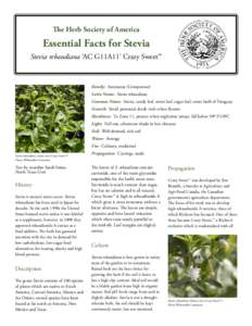 The Herb Society of America  Essential Facts for Stevia Stevia rebaudiana ‘AC G11A11’ Crazy Sweet™  Family: Asteraceae (Compositae)