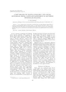 Ansonia / Herpetology / Ansonia jeetsukumarani