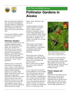 Microsoft Word - Pollinatorgarden fact sheet-AK-FINAL.doc