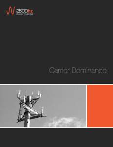 Carrier Dominance  Carrier White Paper 2600hz has impressive technical talent and they’re approaching the problem of overrun telecom networks in a really intriguing fashion. They’re definitely one company