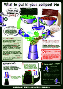 What to put in your compost bin You need to aim for a balanced diet of ‘GREENS’ and ‘BROWNS’