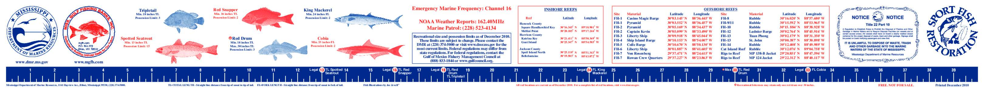 Tripletail  Red Snapper King Mackerel