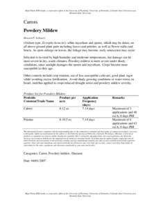 Powdery mildew / Erysiphe heraclei / Erysiphe / Oidium / Leotiomycetes / Biology / Microbiology