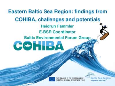 Eastern Baltic Sea Region: findings from  COHIBA, challenges and potentials Heidrun Fammler E-BSR Coordinator Baltic Environmental Forum Group