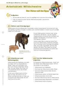 Als Wildpark-Detektiv unterwegs  Arbeitsblatt: Wildschweine Aufgaben 1. Lies als erstes die Texte (A1 und A2) sorgfältig durch und schau Dir das Bild an.