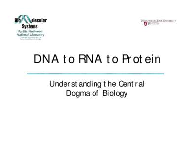 DNA to RNA to Protein Understanding the Central Dogma of Biology Structure of Cells
