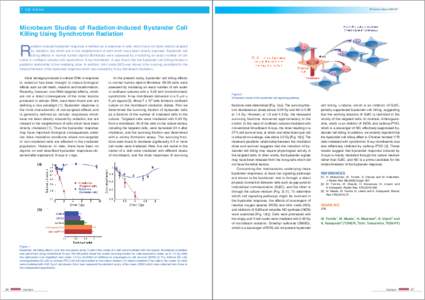 5 Life Science  PF Activity Report 2009 #27 Microbeam Studies of Radiation-Induced Bystander Cell Killing Using Synchrotron Radiation