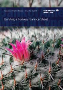 Corporate Finance Topics  |  Issue No.  Building a Fortress Balance Sheet Building a Fortress Balance Sheet