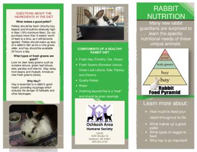 RABBIT NUTRITION QUESTIONS ABOUT THE INGREDIENTS IN THE DIET What makes a good pellet?
