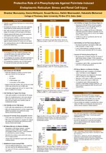 Protective Role of 4-Phenylbutyrate Against Palmitate-Induced Endoplasmic Reticulum Stress and Renal Cell Injury Shankar Munusamy, Dania Alkhiyami, Souad Berzou, Atefeh Moeinzadeh, Hebatalla Mohamed College of Pharmacy, 