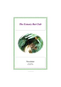 The Estuary Rat Club  Newsletter Vol 2 issue 5 December 2004