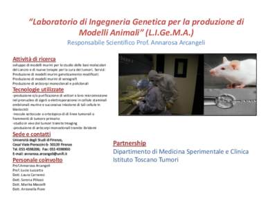 “Laboratorio di Ingegneria Genetica per la produzione di Modelli Animali” (L.I.Ge.M.A.) Responsabile Scientifico Prof. Annarosa Arcangeli Attività di ricerca sviluppo di modelli murini per lo studio delle basi molec