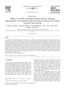 Brain Research–26 www.elsevier.com / locate / brainres Research report  Effects of m-CPP in altering neuronal function: blocking