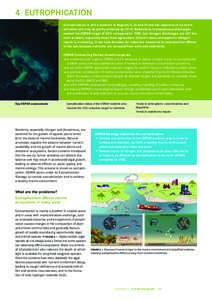 4 Eutrophication Eutrophication is still a problem in Regions II, III and IV and the objective of no eutro­ phication will only be partly achieved by[removed]Reductions in phosphorus discharges ­exceed the OSPAR target