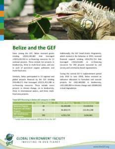 Belize and the GEF Since joining the GEF, Belize received grants totaling US$20,249,080 that leveraged