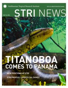 STRI NEWS stri.si.edu/sites/strinews MAY 16, 2014  TITANOBOA