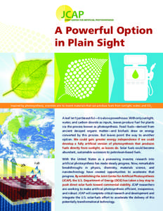 Photochemistry / Energy economics / Hydrogen production / Alternative energy / Energy conversion / Artificial photosynthesis / Solar energy / Solar fuel / Biofuel / Energy / Chemistry / Sustainability