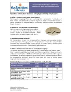 Government of Newfoundland and Labrador Department of Health and Community Services Wait Time Information - Coronary Artery Bypass Graft (CABG) Surgery Q: What is Coronary Artery Bypass (Heart) Surgery? Coronary artery b