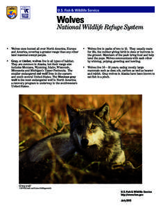 U.S. Fish & Wildlife Service  Wolves National Wildlife Refuge System