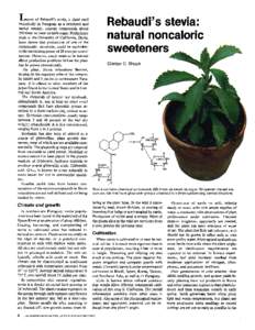 Rebaudi's stevia: natural noncaloric sweeteners