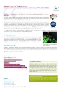 Internal combustion engine / Plasma / École centrale Paris / Flame / The Combustion Institute / Physics / Engineering / Matter / Sugden award / Centrale Graduate School / Grandes écoles / Combustion