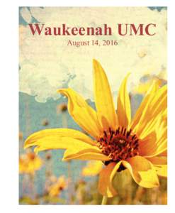 Waukeenah UMC August 14, 2016 Order of Worship  Open Hearts. Open Minds. Open Doors.